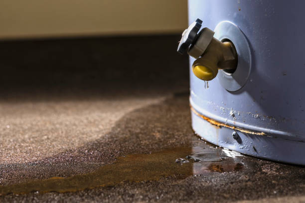 Best Emergency water extraction  in Seneca, IL