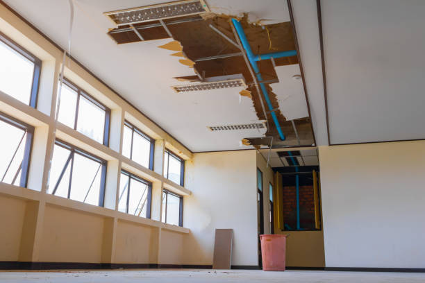 Best Basement water damage restoration  in Seneca, IL