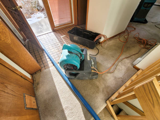 Best Flood damage cleanup  in Seneca, IL