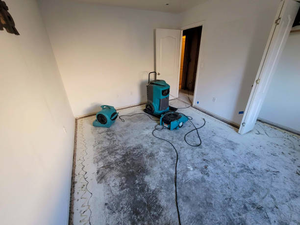 Best Flooded house restoration  in Seneca, IL