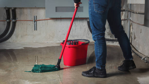 Best Water damage contractors near me  in Seneca, IL