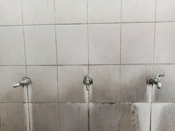 Best Fire Damage Restoration  in Seneca, IL