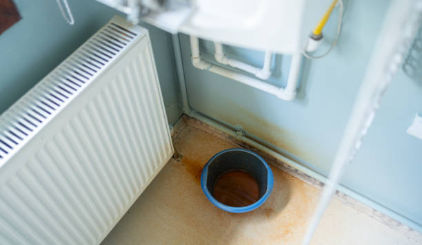 Best Water damage restoration mold remediation  in Seneca, IL