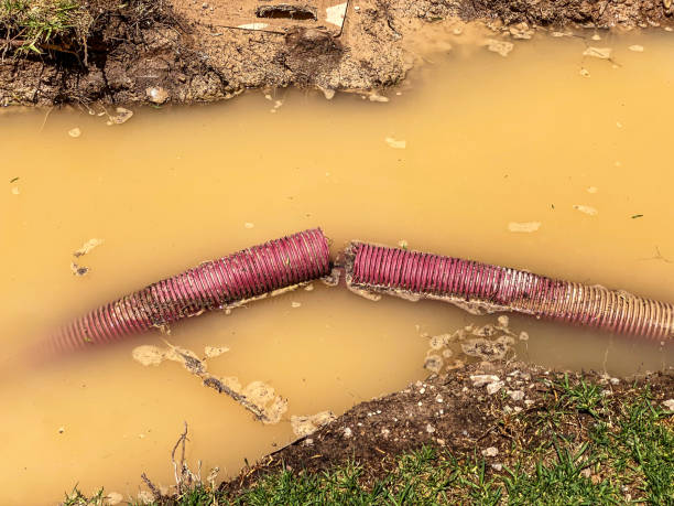 Best Carpet water damage restoration  in Seneca, IL