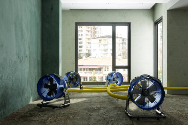 Best 24-hour water damage restoration  in Seneca, IL